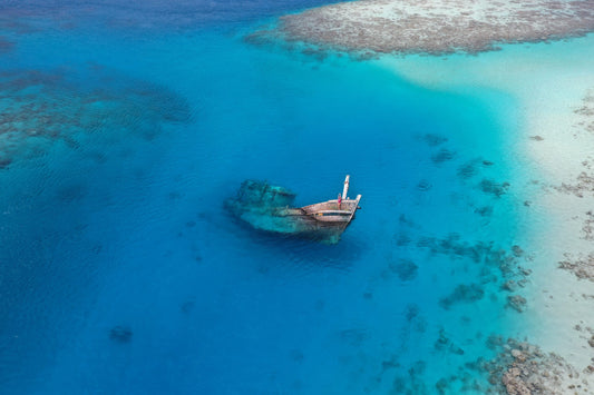 Skibsvrag og koralrevs eventyr